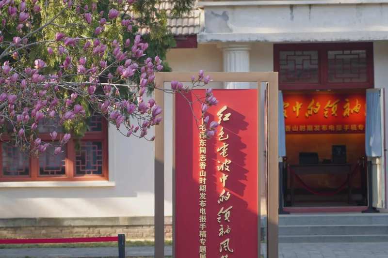  京城赏春避坑指南：高效玩转市属公园的操作路径 新闻