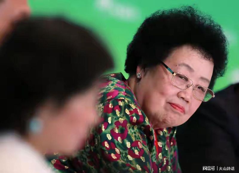  揭秘陈丽华的隐秘版图：非遗守护下的商业逻辑与情感支点 企业服务