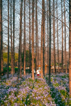 都市生活的焦虑与解脱：共享菜园带来的田园疗愈方案 新闻