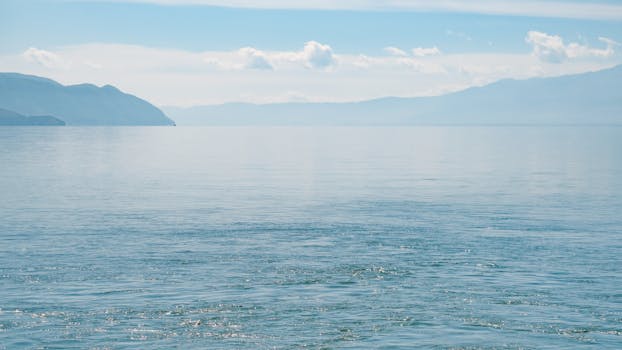 传统征信模式：中小企业融资困境的逆向突围——重塑数据价值的底层逻辑 股票财经