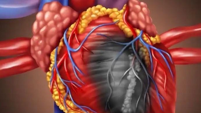  心脏易损期预警：外卖骑手构建流动急救网络提升存活率 健康养生
