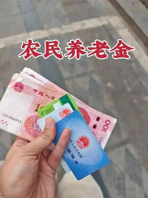 2025年农民养老金调整深度解读:基础标准提至163元背后的政策逻辑与长期趋势 股票财经