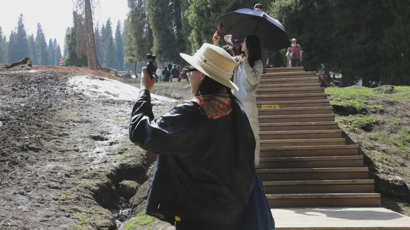 双假叠加释放文旅消费势能：库尔德宁景区清明春游季运营数据深度解析 文化旅游