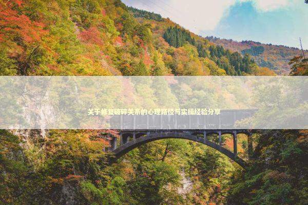 关于修复破碎关系的心理路径与实操经验分享 情感心理