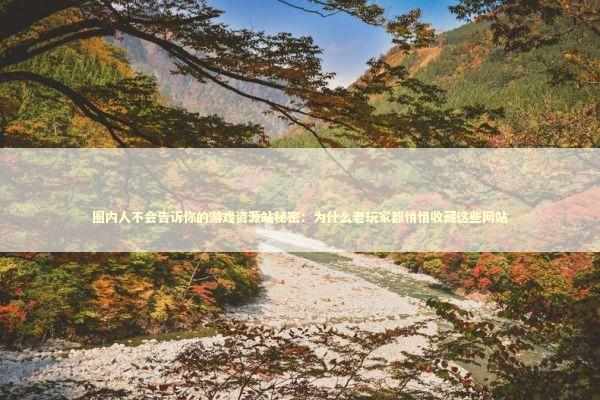 圈内人不会告诉你的游戏资源站秘密：为什么老玩家都悄悄收藏这些网站