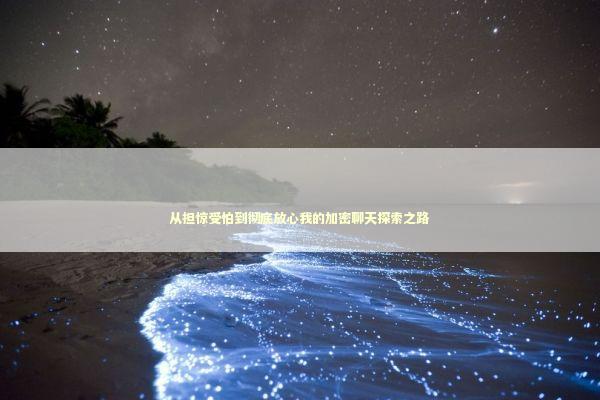 从担惊受怕到彻底放心我的加密聊天探索之路 从担惊受怕到彻底放心我的加密聊天探索之路 IT技术