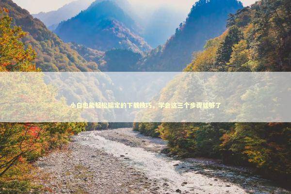 小白也能轻松搞定的下载技巧,学会这三个步骤就够了 小白也能轻松搞定的下载技巧,学会这三个步骤就够了 IT技术