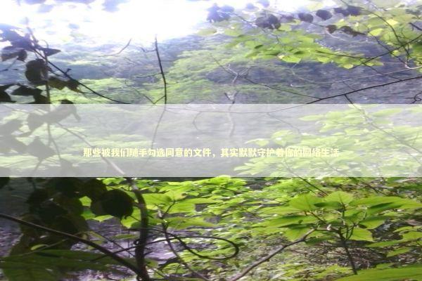 那些被我们随手勾选同意的文件，其实默默守护着你的网络生活