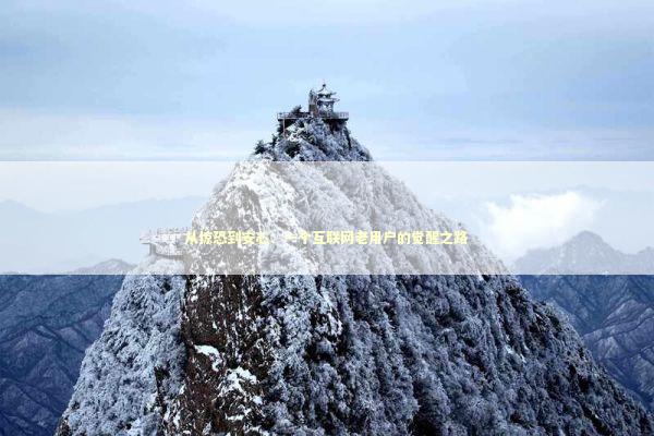 从惊恐到安心：一个互联网老用户的觉醒之路 IT技术