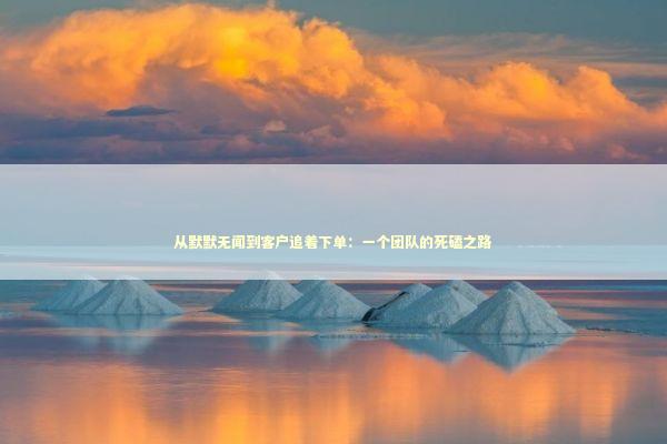 从默默无闻到客户追着下单：一个团队的死磕之路