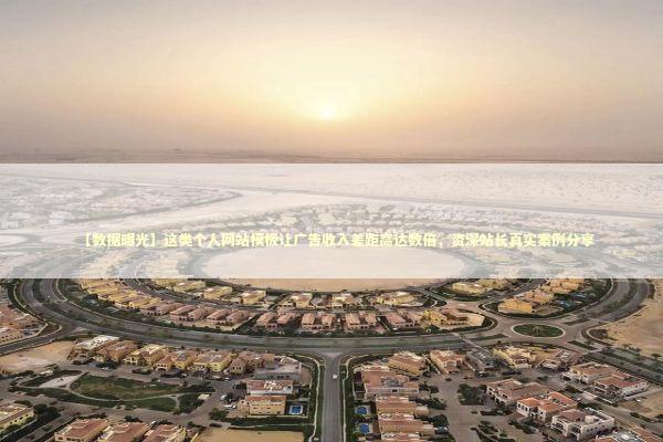 【数据曝光】这类个人网站模板让广告收入差距高达数倍，资深站长真实案例分享 IT技术