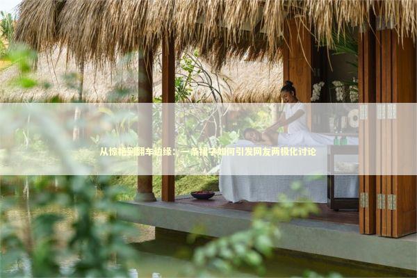 从惊艳到翻车边缘：一条裙子如何引发网友两极化讨论 时尚用品