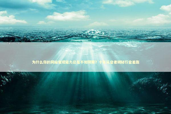 为什么你的网站变现能力总是不如预期？十年从业者揭秘行业差距 IT技术