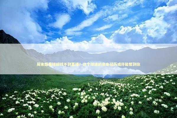 周末想看球却找不到直播?这个球迷的亲身经历或许能帮到你 周末想看球却找不到直播?这个球迷的亲身经历或许能帮到你 体育新闻