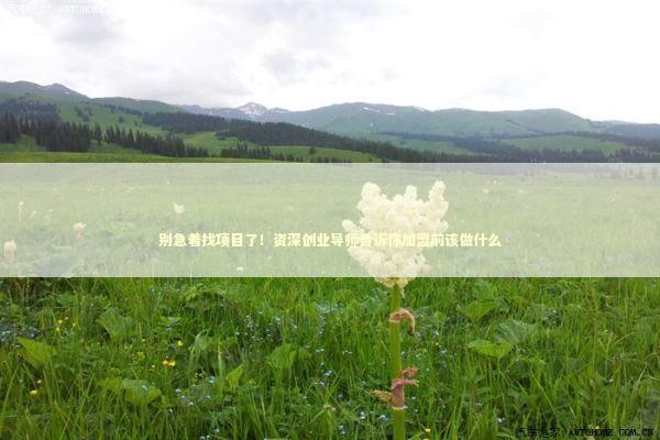 别急着找项目了！资深创业导师告诉你加盟前该做什么 新闻