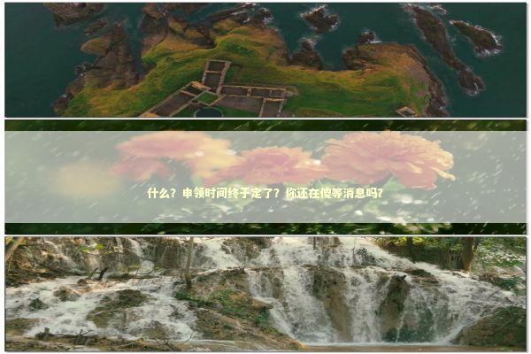 什么？申领时间终于定了？你还在傻等消息吗？